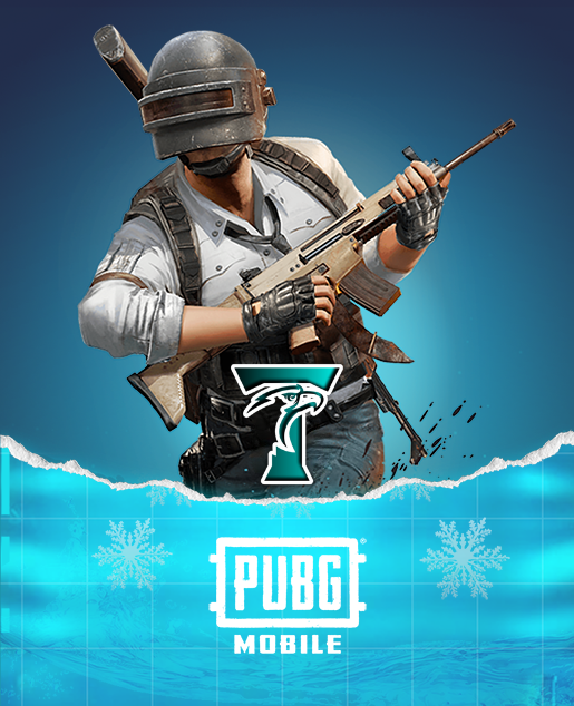 PUBG MOBILE